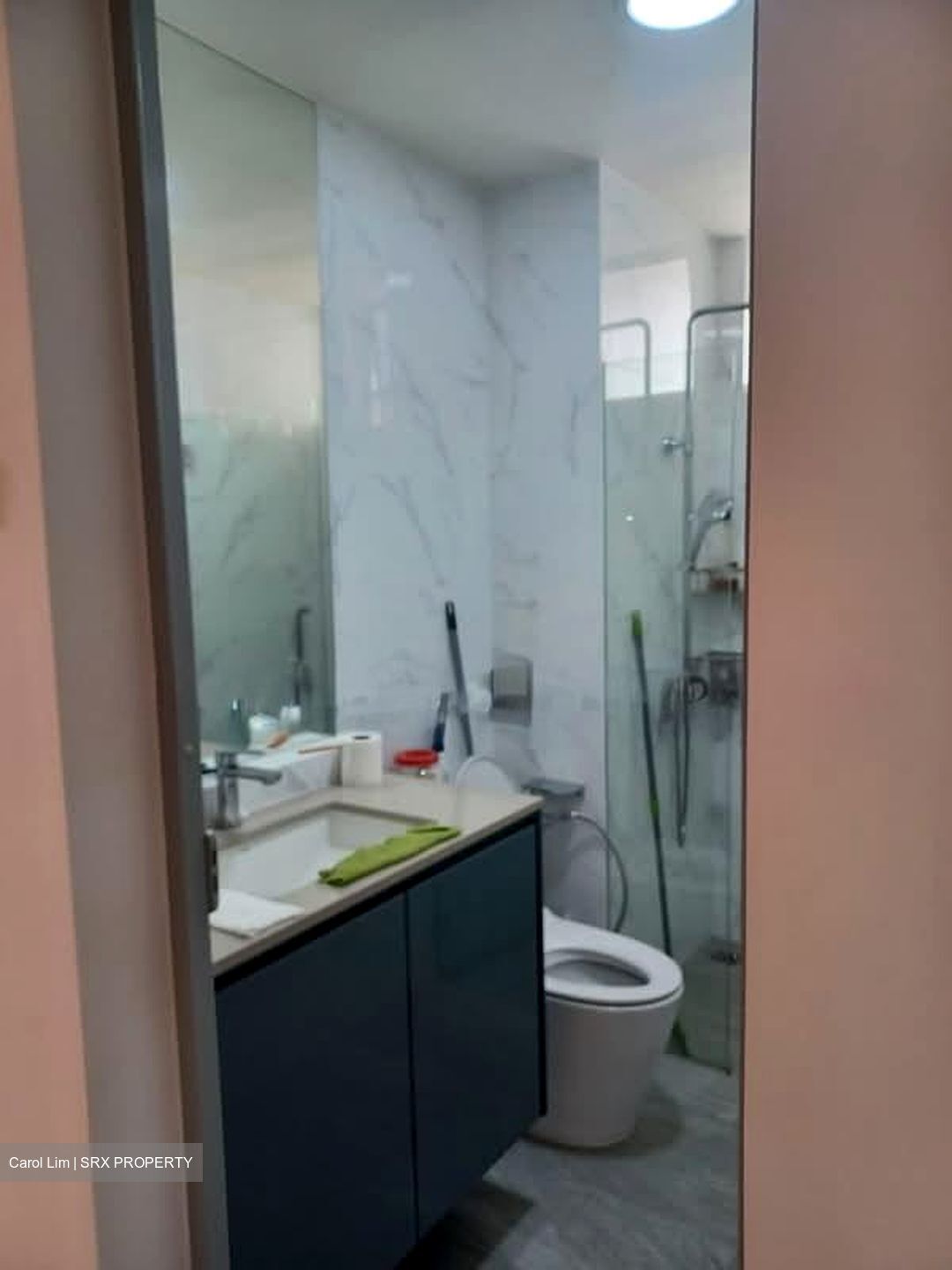 Hillview Green (D21), Condominium #587149171